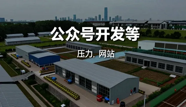 电商运营如何借助信息化方案提升效率与精准度